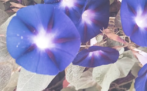 �^�젿������ӛ����