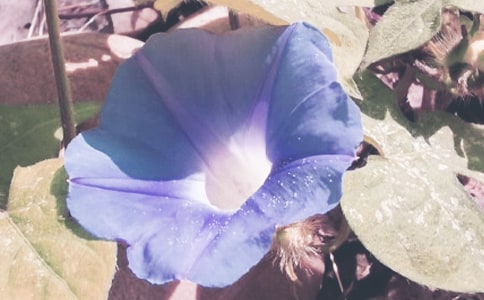 �^����ӛ-������