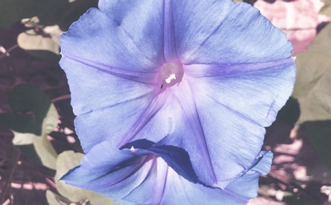 ���������^����ӛ