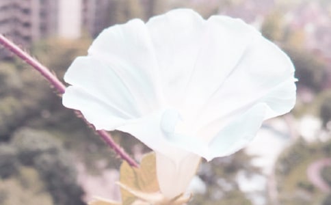 ���������L�B�m(x��)�^����ӛ