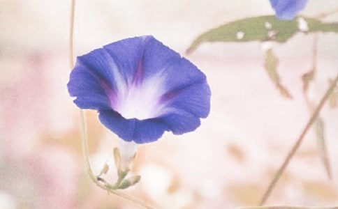 �������^����ӛ����