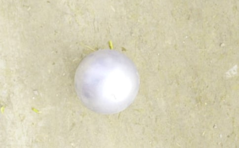 �U���ِ����