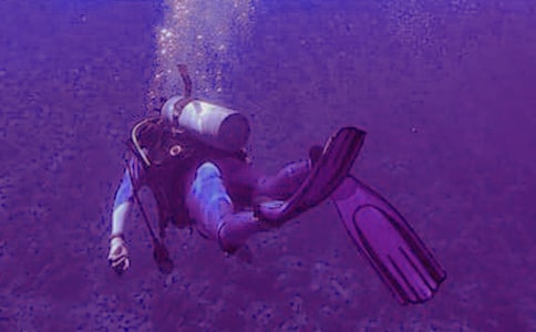 第一次潛水學(xué)生作文