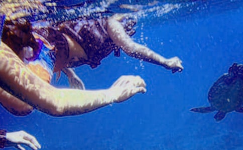 ��ˮ������