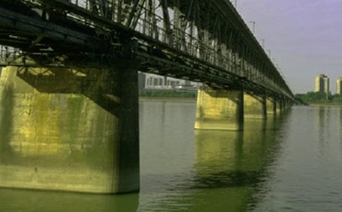 ���c�ĵĘ�������