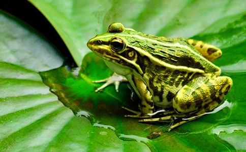 ���׃�����^����ӛ��ͨ��19ƪ��