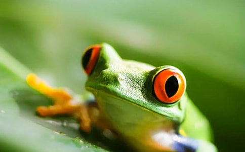 �����ܺ���ܡ��x��У����x23ƪ��