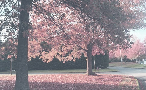 �n��(gu��)Ů�b�＾����