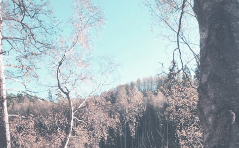 �＾���ס�����ǡ�ԓ��ô�k