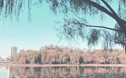 秋季自駕車常識