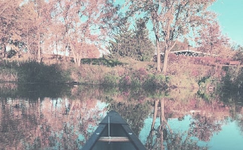 秋季飲食應(yīng)該注意哪些