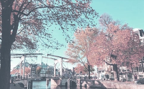 �＾�W(xu��)�ڵĴ��̌W(xu��)Ӌ(j��)����ͨ��26ƪ��