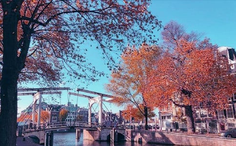 秋日游記作文合集七篇