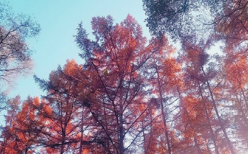 ����Ʒ��������ӛ������ƪ