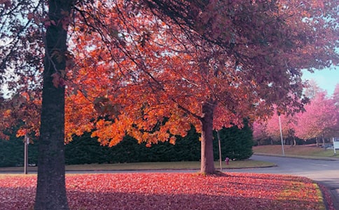 ������ӛ���ģ�ͨ��54ƪ��