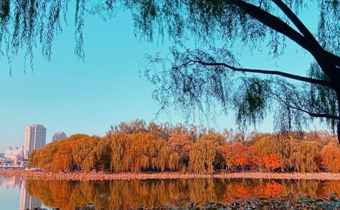 �����A��������ӛ����4ƪ