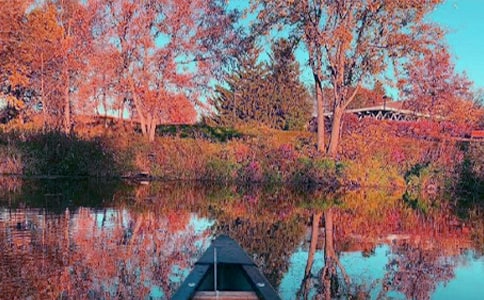 關(guān)于秋日游記作文三篇