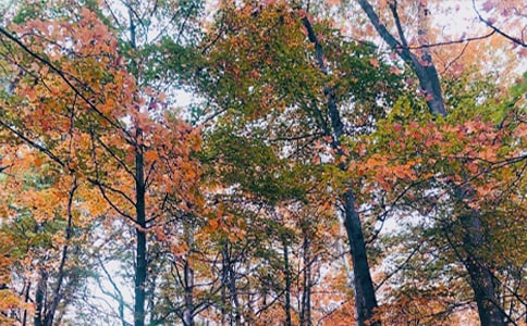 ����ů�ɢ�ģ����x25ƪ��