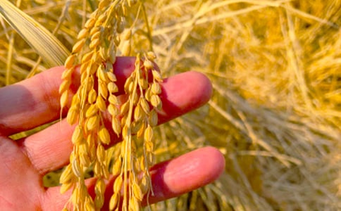 ���յ�����