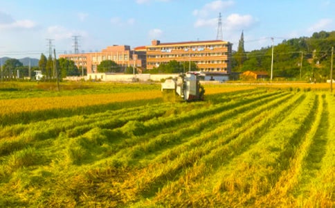 ��������(y��u)��ɢ��