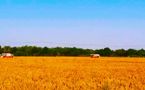 �P(gu��n)���������ă�(y��u)�x��13ƪ��