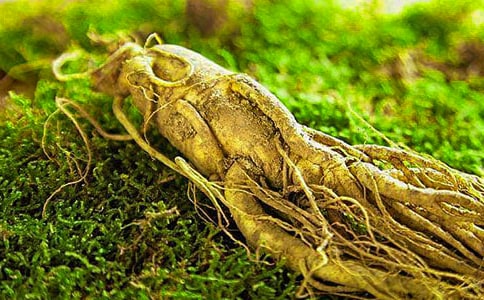 Ů���a(b��)Ѫ�B(y��ng)ķ�������ζ���˅��i�X��������