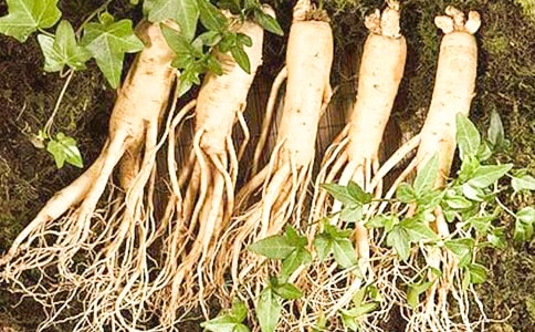 ��(g��)�˅��ӌW(xu��)��(x��)�ĵ��w��(hu��)