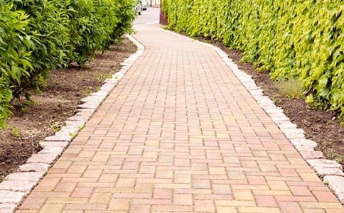 我心目中的人行道初中作文