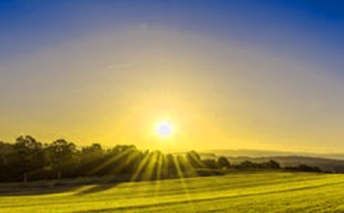 �ճ���������15ƪ