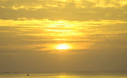 日出即景作文【匯總15篇】