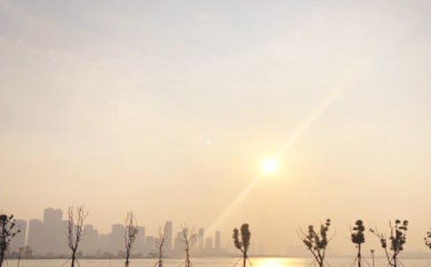 �ճ��������ģ����x36ƪ��