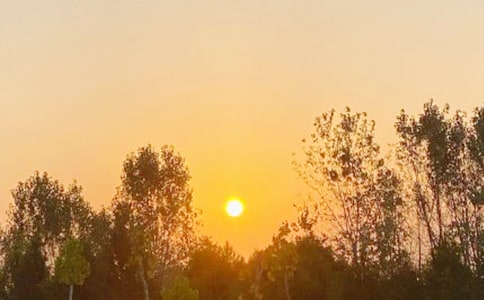 �ճ�������������