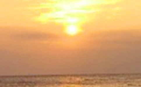 �����A����������ąR����ƪ