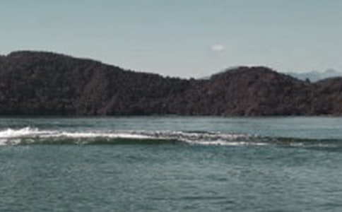 ��������̶����