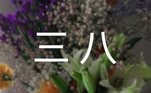 三八活動方案錦集五篇