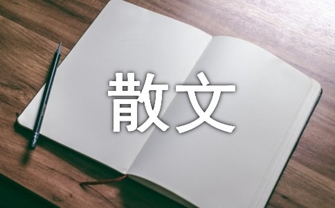 關(guān)愛(ài)空巢老人散文