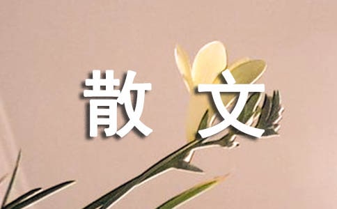 愛的語言,愛的明示散文