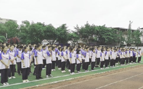 ����ɢ�W(xu��)��Y���ָ�