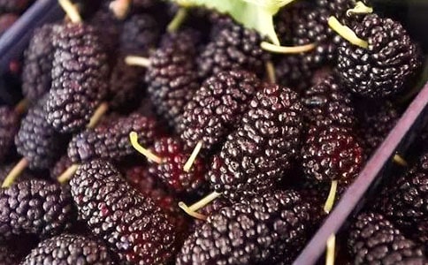 ժɣ������