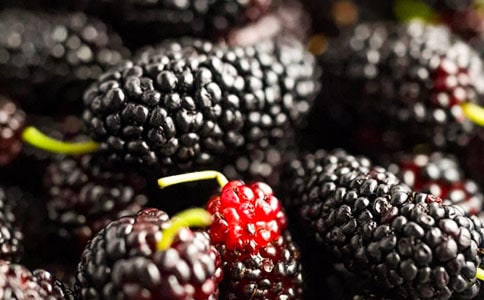 ժɣ������