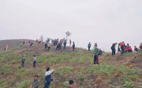 ��Ĺ����