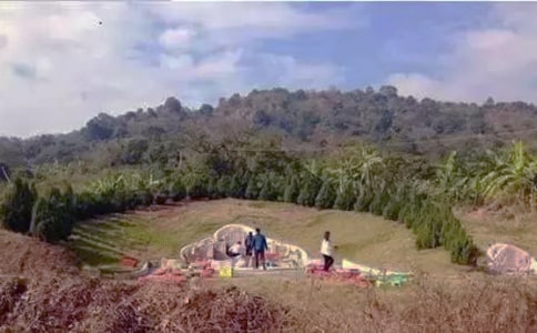 學(xué)生掃墓日記精選15篇