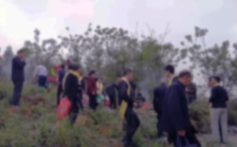 烈士陵園掃墓活動方案(通用15篇)