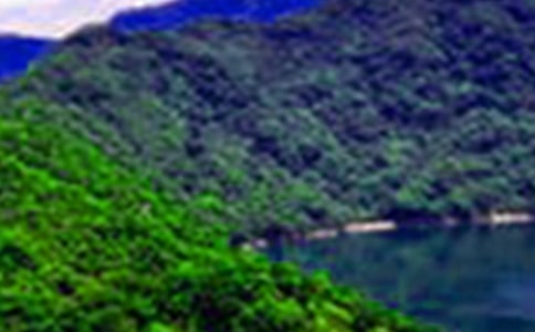 ��(sh��)�õ�ɽˮ��ӛ����4ƪ[�]]