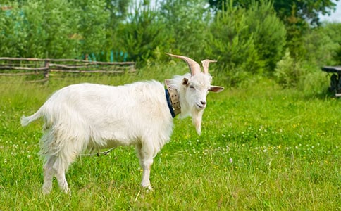 ��(l��)�����˵�Сɽ������