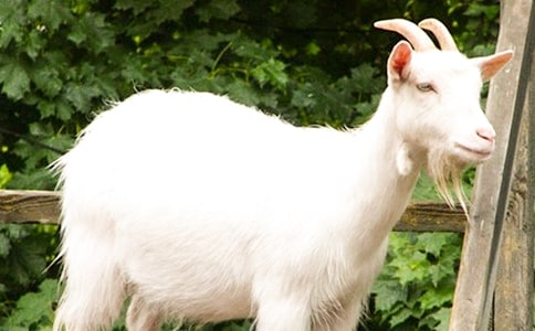 �ڄڵ�Сɽ���c�ж��С�i����