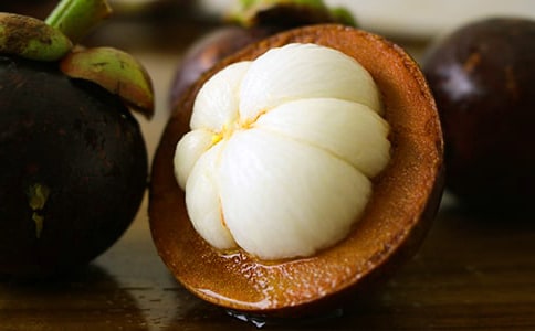 游南山竹海作文