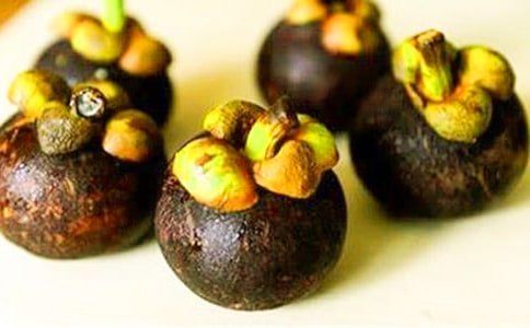 南山竹海游記作文