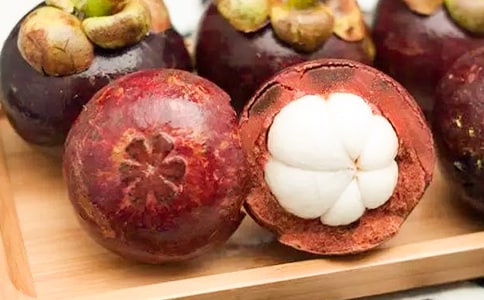 南山竹海游記作文(通用21篇)