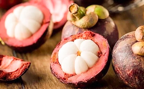 描寫山竹的小學生作文